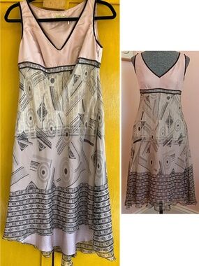 Max Studio NWOT Special Edition Graphic Black Print RosePink Silk Slip Dress XS
